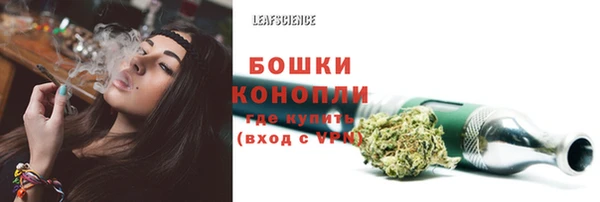 мет Карпинск