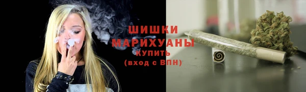 ПСИЛОЦИБИНОВЫЕ ГРИБЫ Касимов
