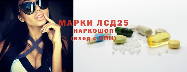ПСИЛОЦИБИНОВЫЕ ГРИБЫ Касимов