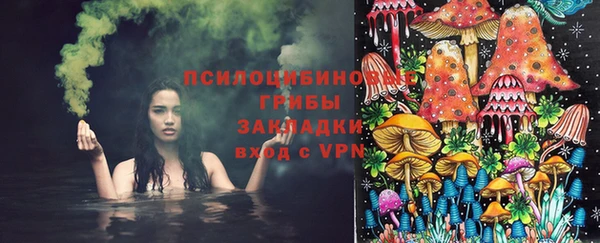 мет Карпинск