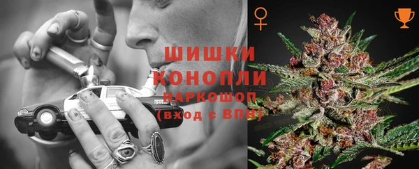 мет Карпинск