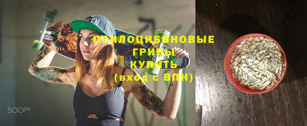 мет Карпинск